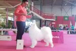 Meilleur Jeune Bourges 2020